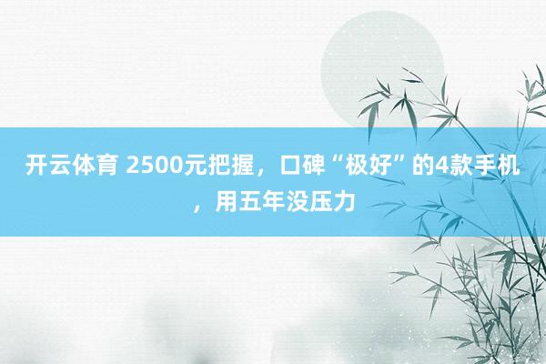开云体育 2500元把握，口碑“极好”的4款手机，用五年没压力