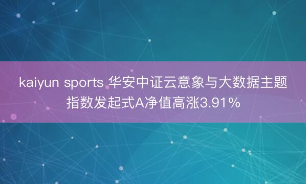 kaiyun sports 华安中证云意象与大数据主题指数发起式A净值高涨3.91%