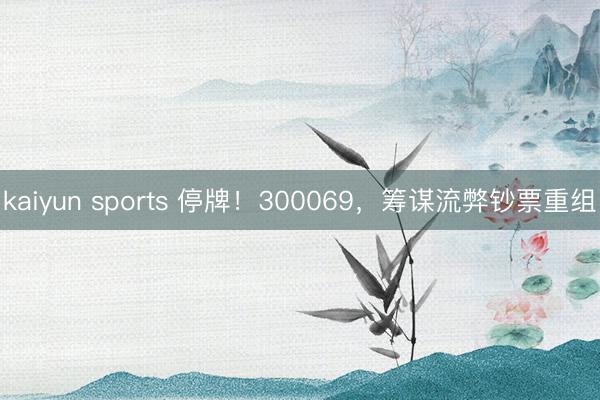 kaiyun sports 停牌！300069，筹谋流弊钞票重组