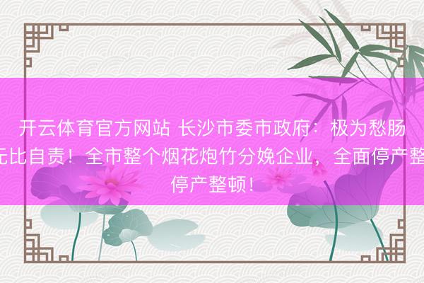 开云体育官方网站 长沙市委市政府：极为愁肠、无比自责！全市整个烟花炮竹分娩企业，全面停产整顿！